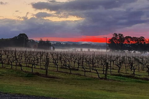 Adina Vineyard - Accommodation Whitsundays 4