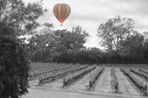 Adina Vineyard - Accommodation Whitsundays 5