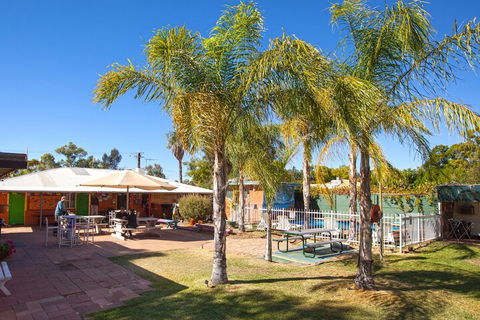 Alice Lodge Backpackers - Accommodation Whitsundays 3