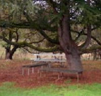 Auburn Shiraz Motel - Accommodation Whitsundays