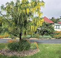 Hamlet Downs Country Accommodation - Accommodation Whitsundays