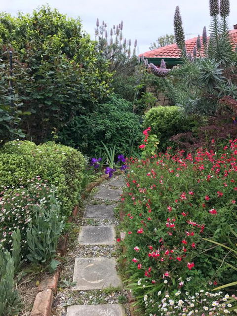 Admurraya House Bed & Breakfast - Accommodation Whitsundays 4
