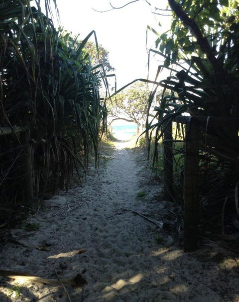 On The Beach At Hastings Point - Accommodation Whitsundays 1