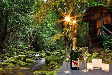 Misty Mountains Rainforest Retreat - Accommodation Whitsundays 3