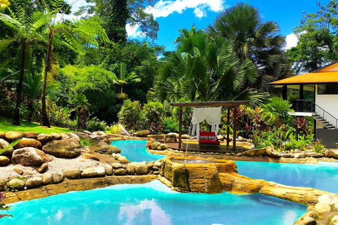 Misty Mountains Rainforest Retreat - Accommodation Whitsundays 4