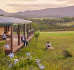 Hanging Tree Wines - Accommodation Whitsundays