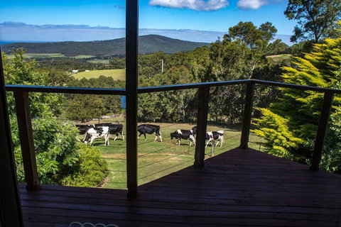 Celestine Retreat - Accommodation Whitsundays 3