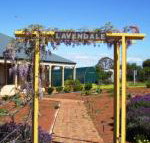 Lavendale Farmstay  Cottages York - Accommodation Whitsundays