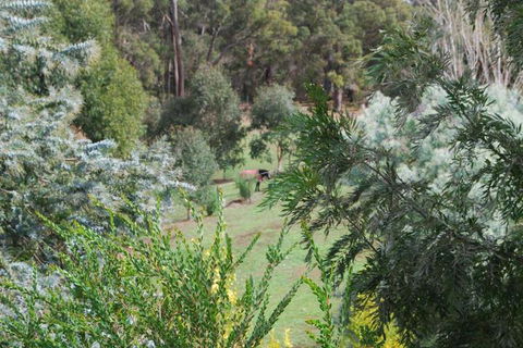 Riverwood Retreat - Accommodation Whitsundays 4