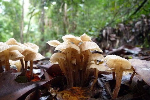 Bellthorpe Stays - Accommodation Whitsundays 3