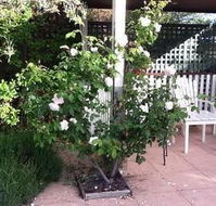 Ellesmere House - Accommodation Whitsundays