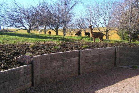 Valleyfield Cottage - Accommodation Whitsundays 4