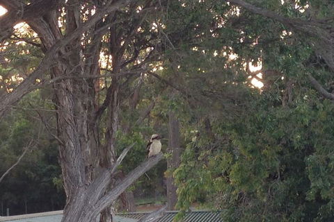 Huskisson Beach B&B - Accommodation Whitsundays 2