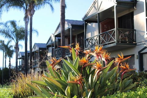 Renmark Hotel Motel - Accommodation Whitsundays 1