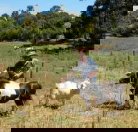 Country Cottages of Bridgetown - Accommodation Whitsundays