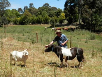 Country Cottages Of Bridgetown - Accommodation Whitsundays 0