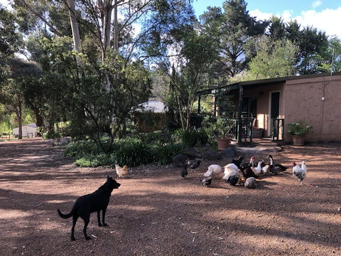Country Cottages Of Bridgetown - Accommodation Whitsundays 4