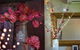 Bridgetown Valley Lodge - thumb 1