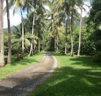Cape Trib Farmstay - Accommodation Whitsundays