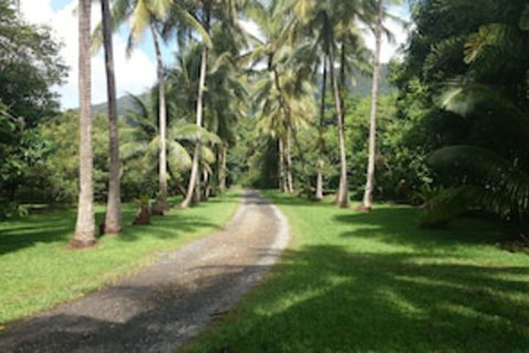Cape Trib Farmstay - Accommodation Whitsundays 0