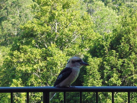 Bellview - Accommodation Whitsundays 5