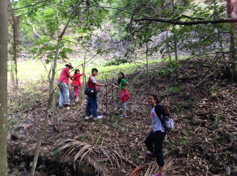 Bellview - Accommodation Whitsundays 3