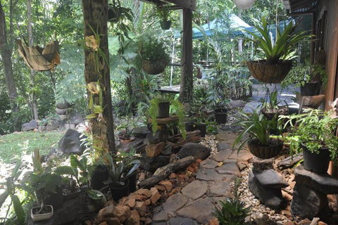 Tropical Bliss Bed & Breakfast - Accommodation Whitsundays 2