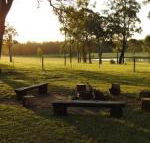 Wallaby Cottage cute Accom in bushland setting - Accommodation Whitsundays