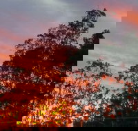 The York Heritage Hotel  Terraces - Accommodation Whitsundays