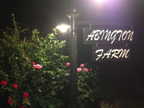 Abington Farm - Accommodation Whitsundays 4