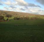 Mancuso Country Cottage Retreat - Accommodation Whitsundays