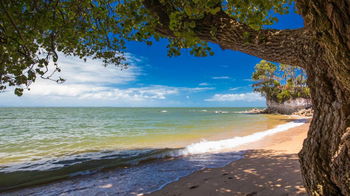 Tourism Listing Partner Whitsundays Tourism