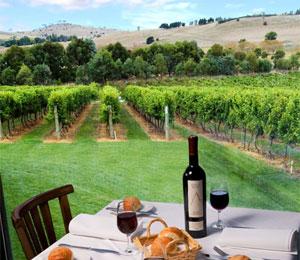Highland Heritage Estate Restaurant & Function Centre - Accommodation Whitsundays 6