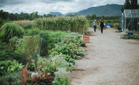 Margan Restaurant - Accommodation Whitsundays 6