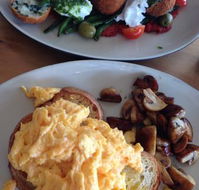 The Little Elephant - Accommodation Whitsundays