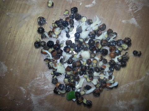 Riviera Pizza - Accommodation Whitsundays 0