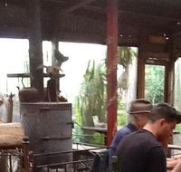 Bodhi Tree - Accommodation Whitsundays