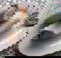 Cafe Lazat - Accommodation Whitsundays