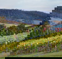 De Bortoli Winery  Restaurant - Accommodation Whitsundays