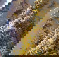 Horsham Masala Indian Restaurant - Accommodation Whitsundays