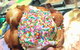 PappaRoti Macquarie - thumb 10