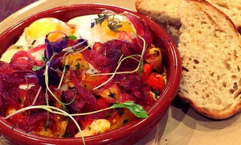 The Lagoon - Accommodation Whitsundays 10