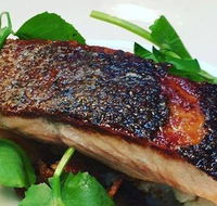 The Shaggy Cow - Accommodation Whitsundays