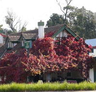 Fetching Treasures - Accommodation Whitsundays