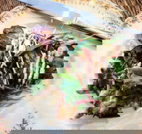 Frank and Connie's Kitchen - Accommodation Whitsundays