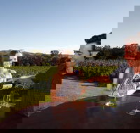 Gapsted Wines - Accommodation Whitsundays