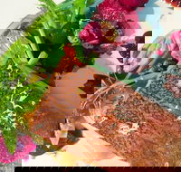 Mitchelton Winery - Accommodation Whitsundays