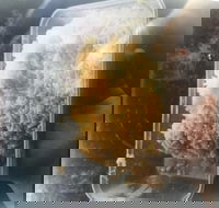 Noodle Dynasty - Accommodation Whitsundays