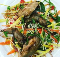 Tuileries Restaurant - Accommodation Whitsundays