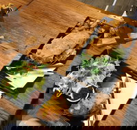 Two Little Owls Cafe - Accommodation Whitsundays